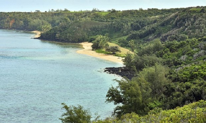Mark Zuckerberg `reconsiders` forcing Hawaiians to sell him their land 